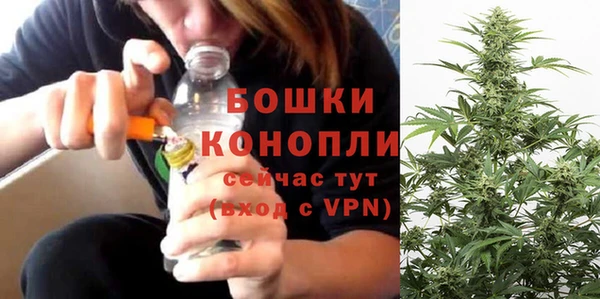 шишки Алексеевка