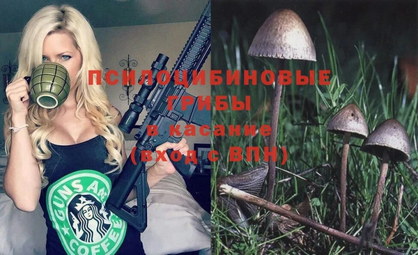 шишки Алексеевка