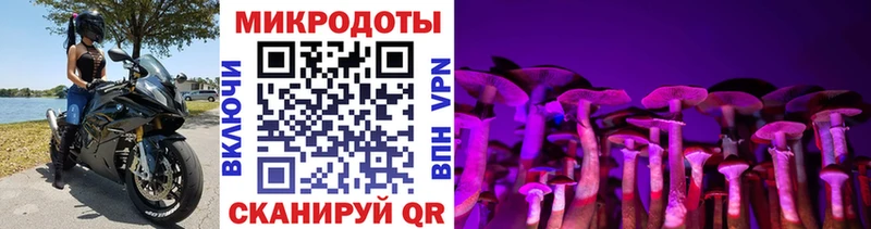 Псилоцибиновые грибы Psilocybine cubensis MEGA Лобня
