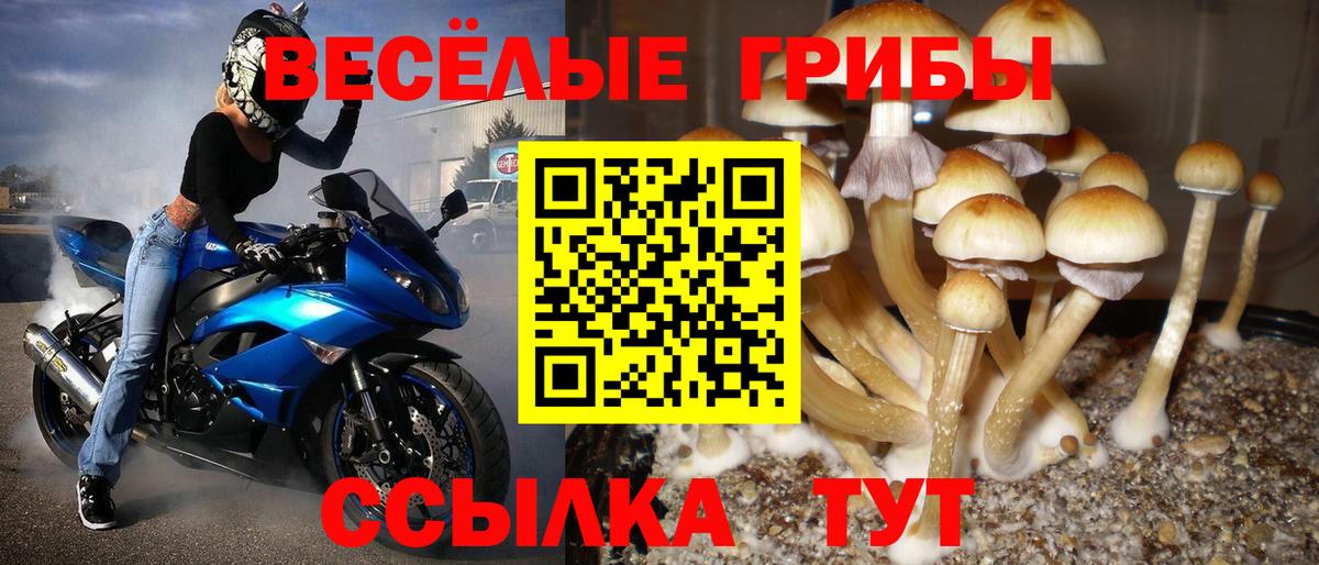Галлюциногенные грибы Magic Shrooms Лобня