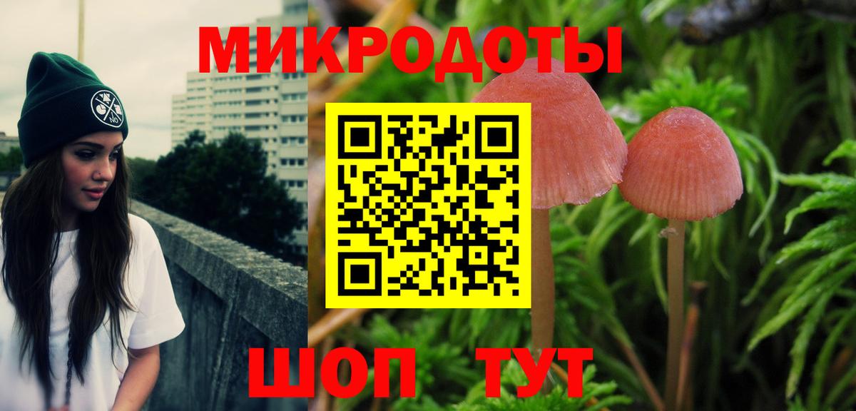 Лобня  Псилоцибиновые грибы Psilocybe  Вход с VPN  Галлюциногенные грибы Magic Shrooms 